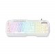 Keyboards - Krom - KENTA white - 6
